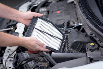 Engine Air and Cabin Air Filters